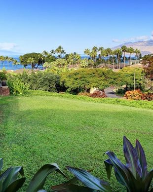 United States Hawaii Wailea, Maui vacation rental compare prices direct by owner 55139