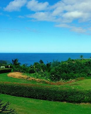 United States Hawaii Princeville vacation rental compare prices direct by owner 28986