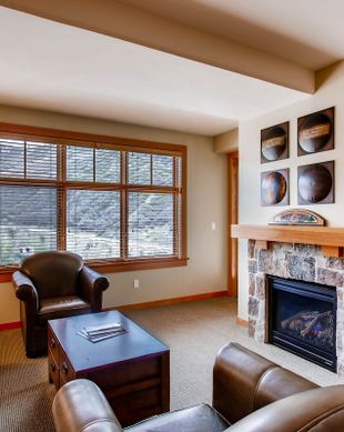 United States Colorado Snowmass Village vacation rental compare prices direct by owner 2256569