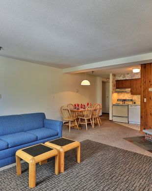 United States Vermont Killington vacation rental compare prices direct by owner 909247