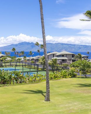 United States Hawaii Lahaina vacation rental compare prices direct by owner 96915