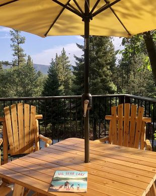 United States California Big Bear Lake vacation rental compare prices direct by owner 515459