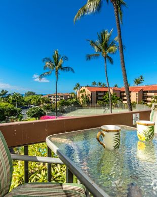 United States Hawaii Kihei vacation rental compare prices direct by owner 95822