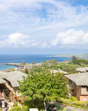 United States Hawaii LAHAINA vacation rental compare prices direct by owner 19753503