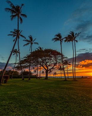 United States Hawaii Kihei vacation rental compare prices direct by owner 12908