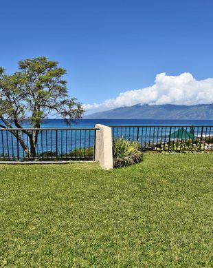 United States Hawaii Lahaina vacation rental compare prices direct by owner 31401