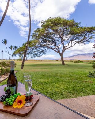 United States Hawaii Kihei vacation rental compare prices direct by owner 2836946