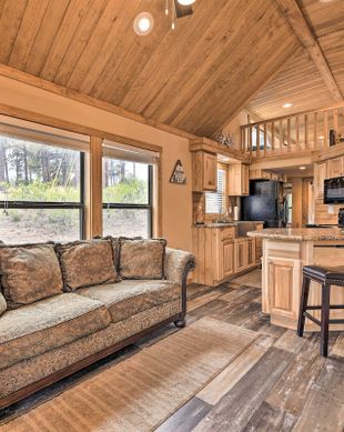 United States Colorado Pagosa Springs vacation rental compare prices direct by owner 2407066