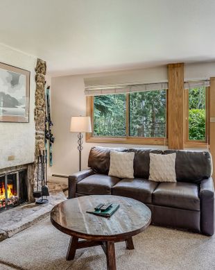 United States Colorado Snowmass Village vacation rental compare prices direct by owner 3413637