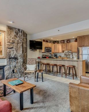 United States Colorado Snowmass Village vacation rental compare prices direct by owner 11934832