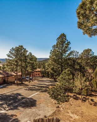 United States New Mexico Ruidoso vacation rental compare prices direct by owner 2765291