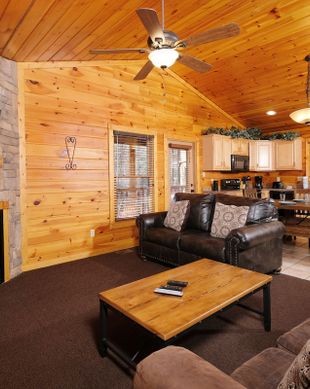 United States Tennessee Gatlinburg vacation rental compare prices direct by owner 2536891