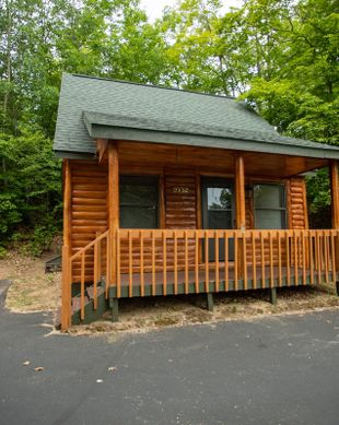 United States Michigan Gaylord vacation rental compare prices direct by owner 3639551