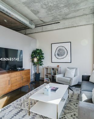 United States Minnesota Minneapolis vacation rental compare prices direct by owner 204767