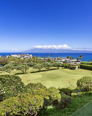United States Hawaii Lahaina vacation rental compare prices direct by owner 11727807