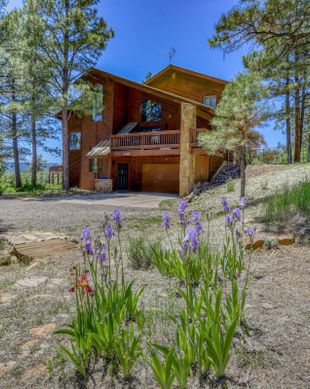 United States Colorado Pagosa Springs vacation rental compare prices direct by owner 9368175