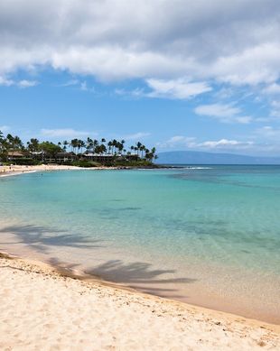 United States Hawaii Lahaina vacation rental compare prices direct by owner 10158404