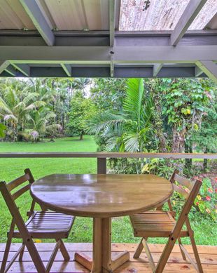 United States Hawaii Pāhoa vacation rental compare prices direct by owner 11642216