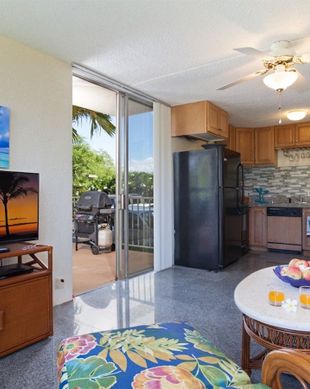 United States Hawaii Puako vacation rental compare prices direct by owner 15858