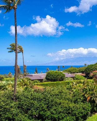 United States Hawaii Lahaina vacation rental compare prices direct by owner 25072686