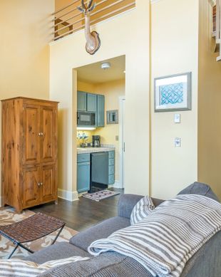 United States Colorado Telluride vacation rental compare prices direct by owner 15383789