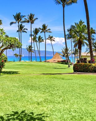 United States Hawaii Lahaina vacation rental compare prices direct by owner 23610487