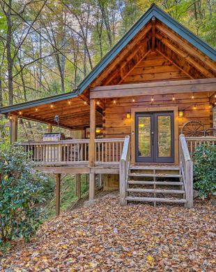 United States Georgia Blue Ridge vacation rental compare prices direct by owner 24891161