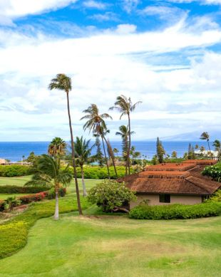 United States Hawaii Lahaina vacation rental compare prices direct by owner 23655948