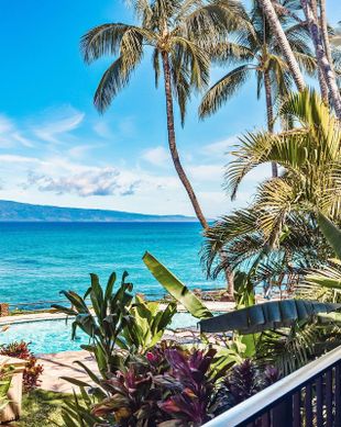 United States Hawaii Lahaina vacation rental compare prices direct by owner 52326