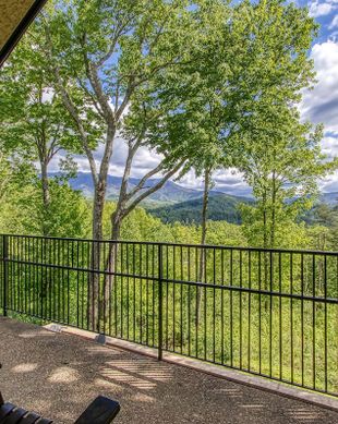 United States Tennessee Gatlinburg vacation rental compare prices direct by owner 27274566