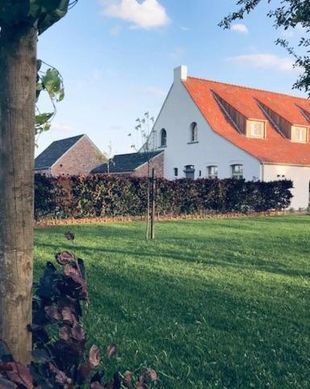 Belgium Antwerpen Province Merksplas vacation rental compare prices direct by owner 14591975