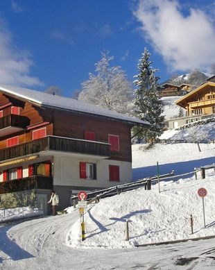 Switzerland Canton of Bern Grindelwald vacation rental compare prices direct by owner 15369380