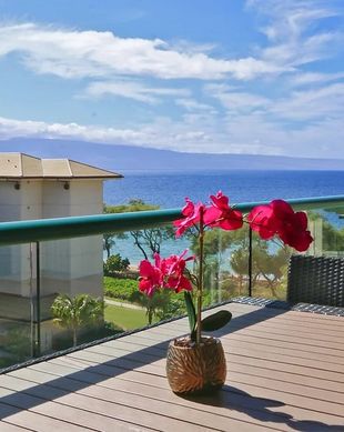 United States Hawaii Lahaina vacation rental compare prices direct by owner 11617