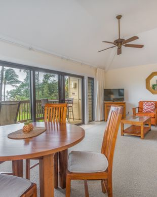 United States Hawaii Kapaa vacation rental compare prices direct by owner 8448