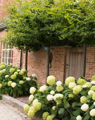 Belgium Limburg Borgloon vacation rental compare prices direct by owner 13433145