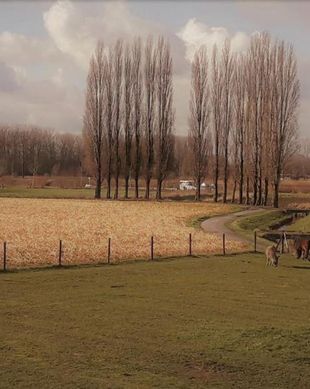 Belgium East-Flanders Oudenaarde vacation rental compare prices direct by owner 13736101
