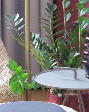 Belgium East-Flanders Hamme vacation rental compare prices direct by owner 13760000