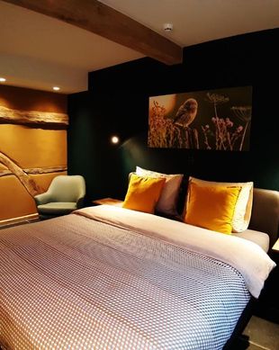 Belgium Limburg Wellen vacation rental compare prices direct by owner 13675348