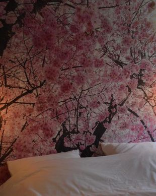 Belgium Antwerpen Province Retie vacation rental compare prices direct by owner 13807420