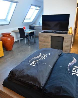 Belgium West-Flanders Oostduinkerke vacation rental compare prices direct by owner 14436193