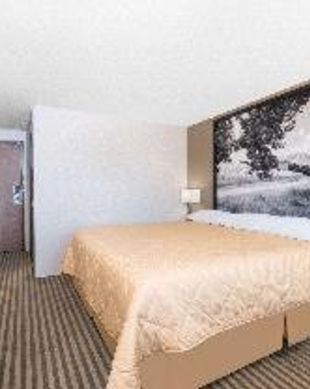 United States North Dakota Bowman vacation rental compare prices direct by owner 18075530