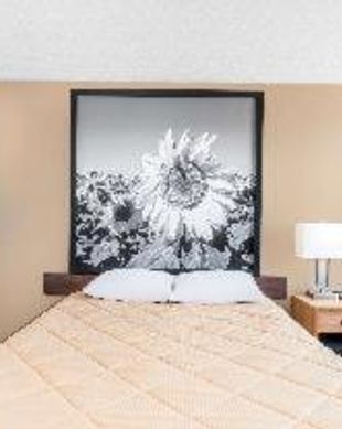 United States North Dakota Bowman vacation rental compare prices direct by owner 18549973