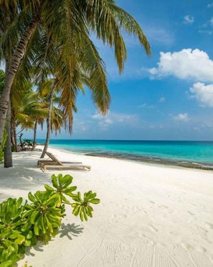 Maldives Ari Atoll Mandhoo vacation rental compare prices direct by owner 18390386