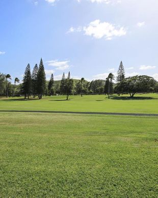 United States Hawaii Kahuku vacation rental compare prices direct by owner 12810484
