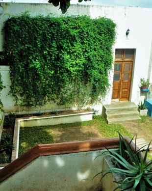 Mozambique Nuevo León Ilha de Moçambique vacation rental compare prices direct by owner 14848070