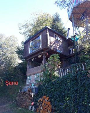 Turkey Black Sea Region Artvin vacation rental compare prices direct by owner 15978952