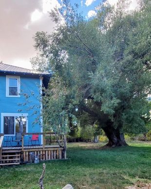 United States Montana Augusta vacation rental compare prices direct by owner 16030093