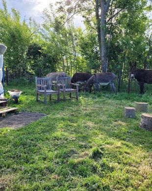 Belgium Flemish Brabant Aarschot vacation rental compare prices direct by owner 23817991