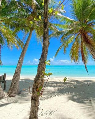 Maldives Ari Atoll Mathiveri vacation rental compare prices direct by owner 26292175