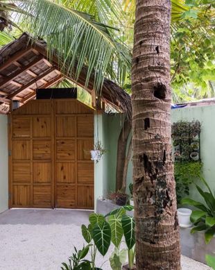 Maldives Kaafu Atoll Dhiffushi vacation rental compare prices direct by owner 26308495